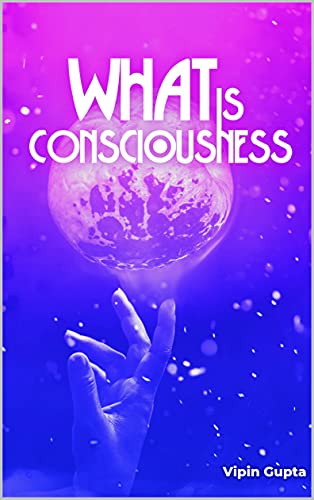 what-is-consciousness